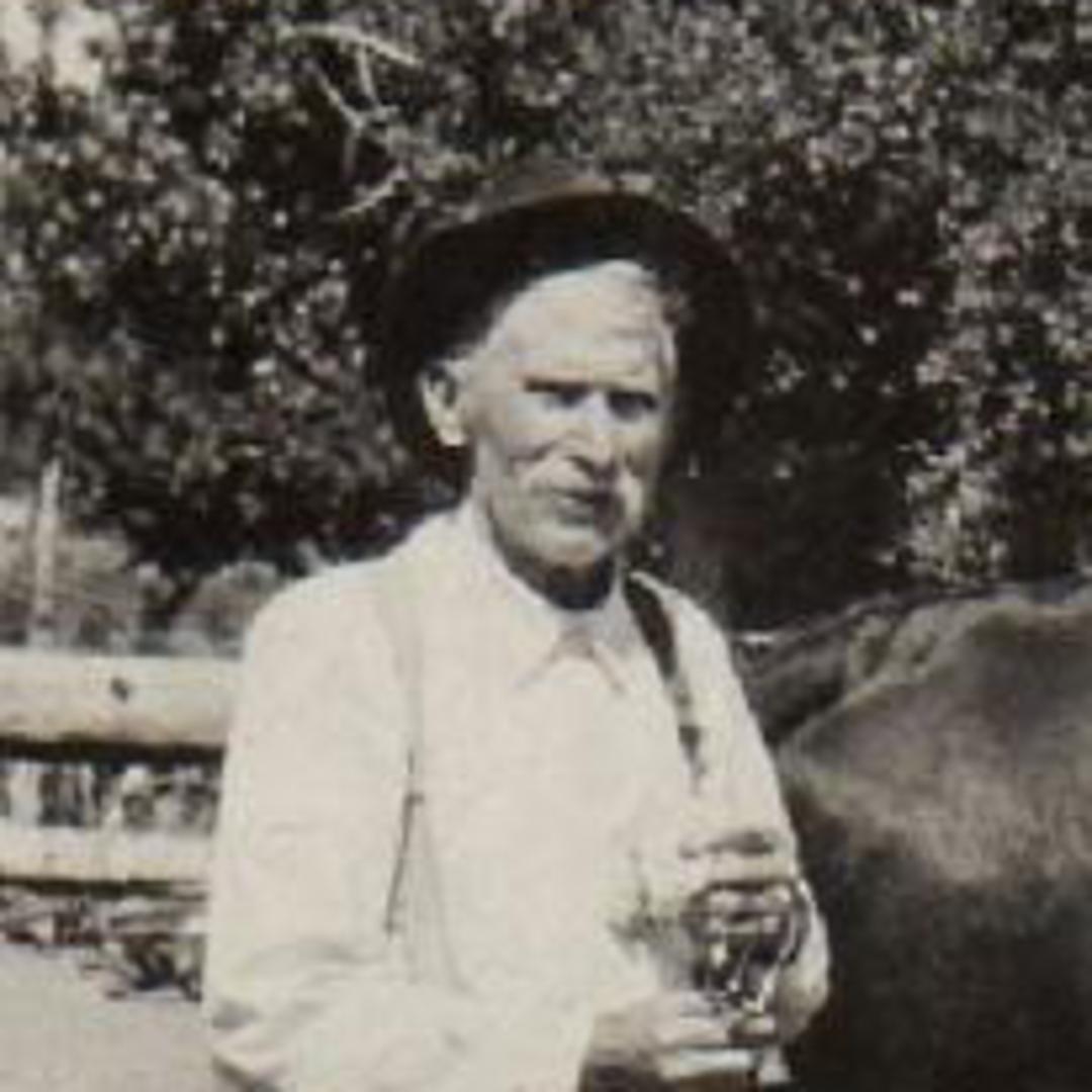 John Henry Fox (1850 - 1931) Profile